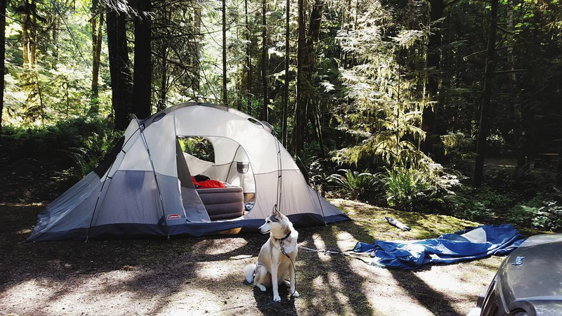 Illustration for article titled The Top 3 Must-Have Camping Equipment